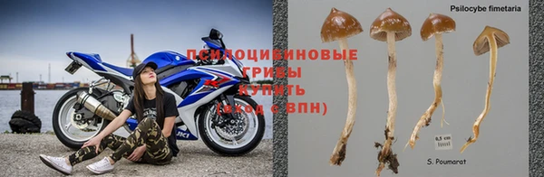 Альфа ПВП Алексин