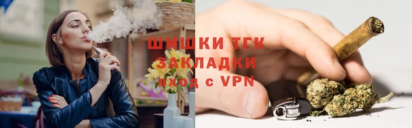 сатива Алзамай